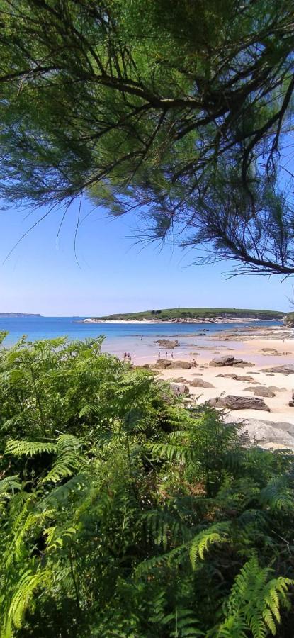 Apartamentos Niza Σανταντέρ Εξωτερικό φωτογραφία